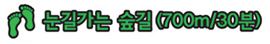 눈길가는 숲길