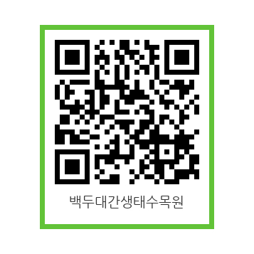 정선의가볼만한곳